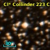 Cl* Collinder  223     CL      52