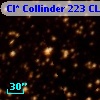 Cl* Collinder  223     CL      59