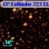 Cl* Collinder  223     CL      63