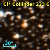 Cl* Collinder  223     CL      64