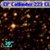 Cl* Collinder  223     CL      67