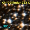Cl* Collinder  223     CL      70