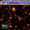 Cl* Collinder  223     CL      72