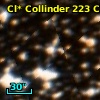 Cl* Collinder  223     CL      77