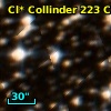 Cl* Collinder  223     CL      82