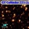 Cl* Collinder  223     CL      83