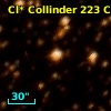Cl* Collinder  223     CL      84