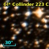Cl* Collinder  223     CL      87