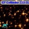 Cl* Collinder  223     CL      88