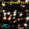 Cl* Collinder  223     CL      89