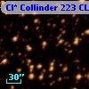 Cl* Collinder  223     CL      91