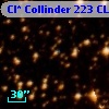 Cl* Collinder  223     CL      92