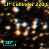 Cl* Collinder  223     CL      94