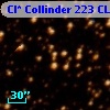 Cl* Collinder  223     CL      95