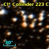 Cl* Collinder  223     CL      96