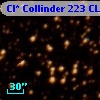 Cl* Collinder  223     CL      97