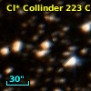 Cl* Collinder  223     CL     100
