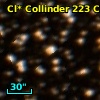 Cl* Collinder  223     CL     101