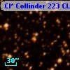 Cl* Collinder  223     CL     102