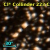 Cl* Collinder  223     CL     103