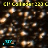 Cl* Collinder  223     CL     104