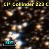 Cl* Collinder  223     CL     108