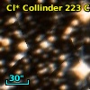 Cl* Collinder  223     CL     110