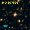 HD 307596