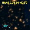 IRAS 10124-6230