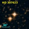 HD 307623