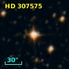HD 307575