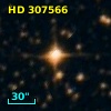 HD 307566