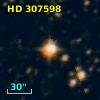 HD 307598