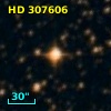 HD 307606