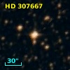 HD 307667