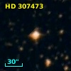 HD 307473