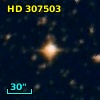 HD 307503