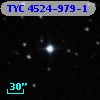TYC 4524-979-1