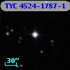 TYC 4524-1787-1