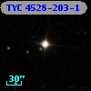 TYC 4528-203-1