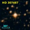 HD 307487