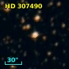HD 307490