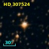 HD 307524