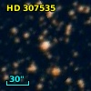 HD 307535