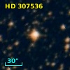 HD 307536