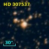 HD 307537