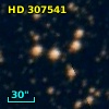 HD 307541
