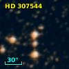 HD 307544