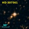 HD 307561
