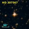 HD 307567